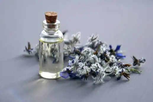 Above is perfume. The primary difference between that and attar is the noticeable scent.